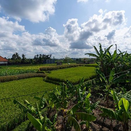 Oemah Joglo Bali Villa Ubud Eksteriør billede