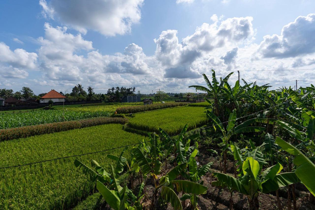 Oemah Joglo Bali Villa Ubud Eksteriør billede