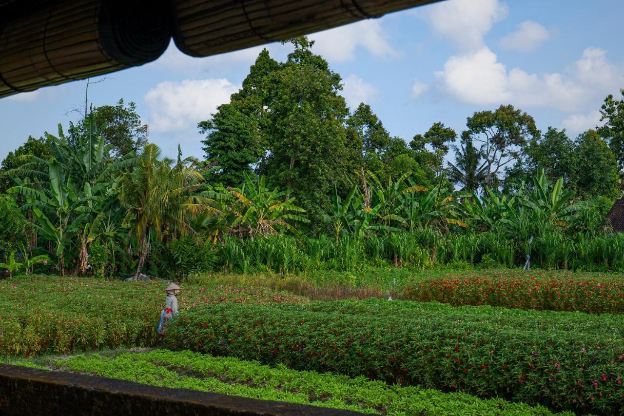 Oemah Joglo Bali Villa Ubud Eksteriør billede